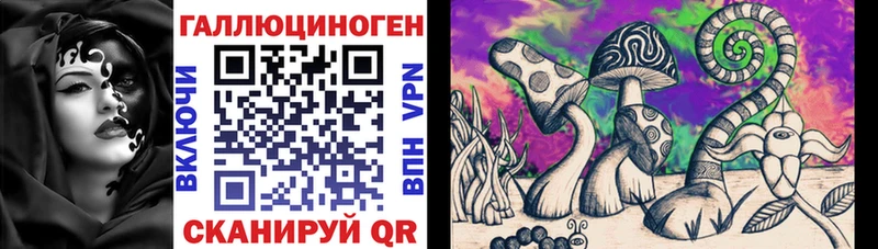 MEGA ССЫЛКА  Новомосковск  Псилоцибиновые грибы GOLDEN TEACHER 