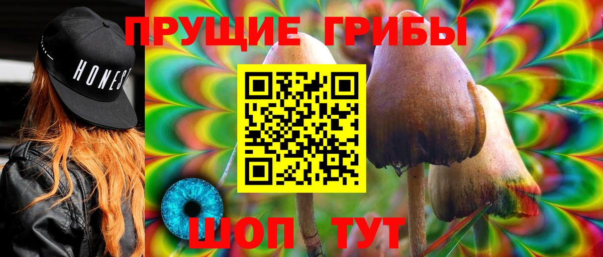 Галлюциногенные грибы Magic Shrooms Новомосковск